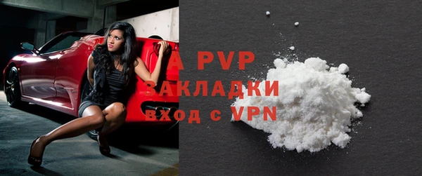 хмурый Бородино