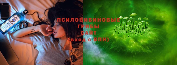 индика Верея