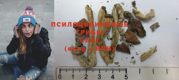 хмурый Бородино