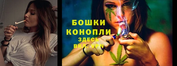хмурый Бородино