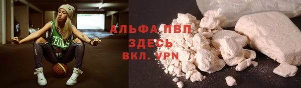 хмурый Бородино