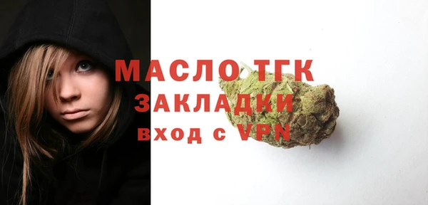хмурый Бородино