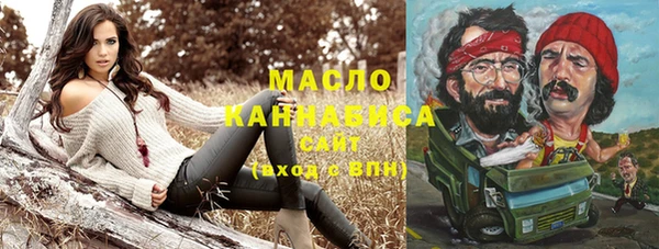 хмурый Бородино