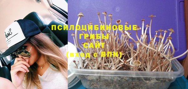 дистиллят марихуана Приозерск