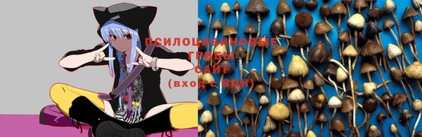 Альфа ПВП Верхнеуральск