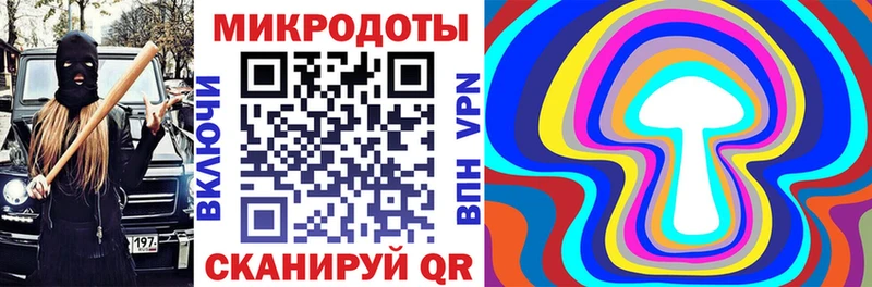 наркота  Ростов  Псилоцибиновые грибы Psilocybe 